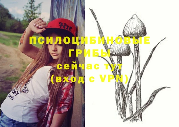 эйфоретик Абинск
