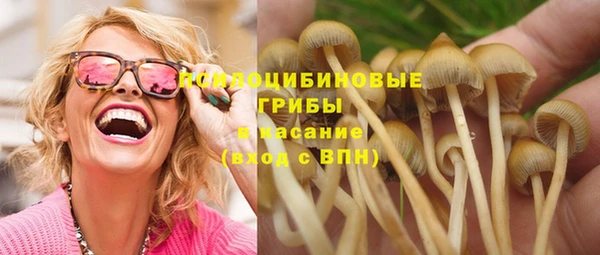 эйфоретик Абинск